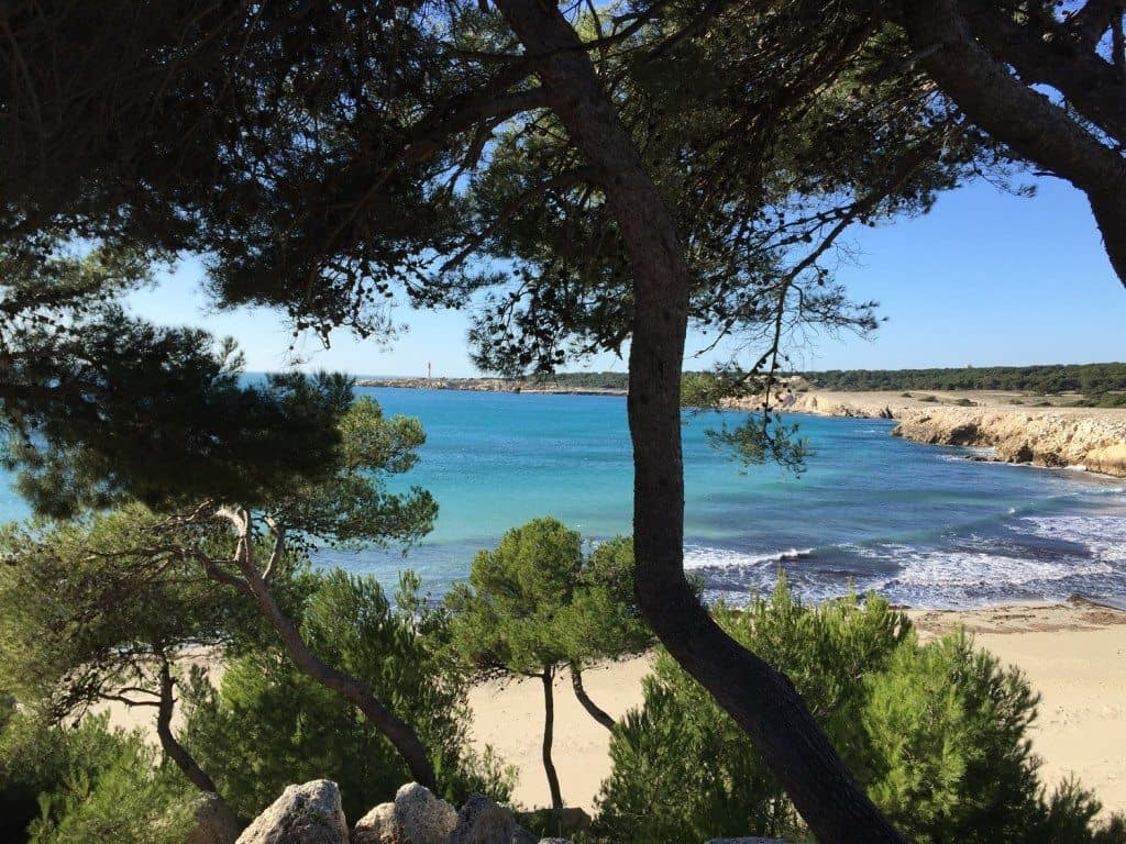 Carro Un Port De Pêche De La Côte Bleue Famille Nomade